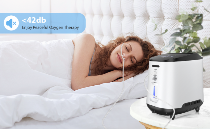 हाइपरबेरिक ऑक्सीजन कक्ष लाभ ऑक्सीजन जनरेटर मशीन 350 वाट बिजली की खपत के साथ 3