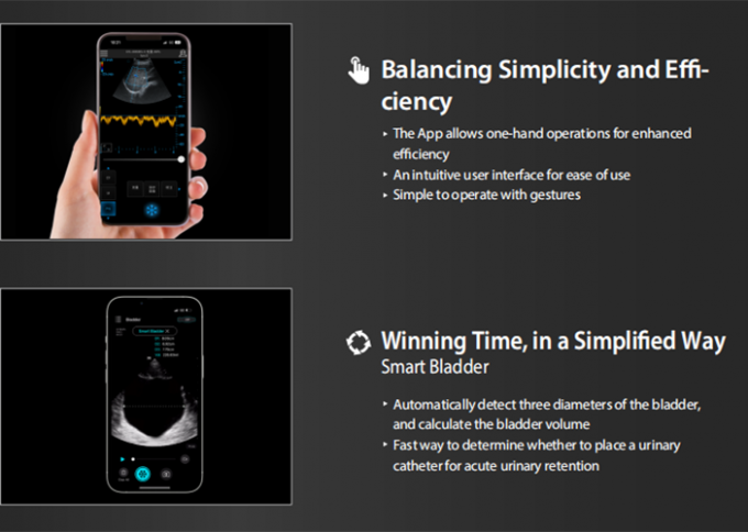 æªæ é¢-1